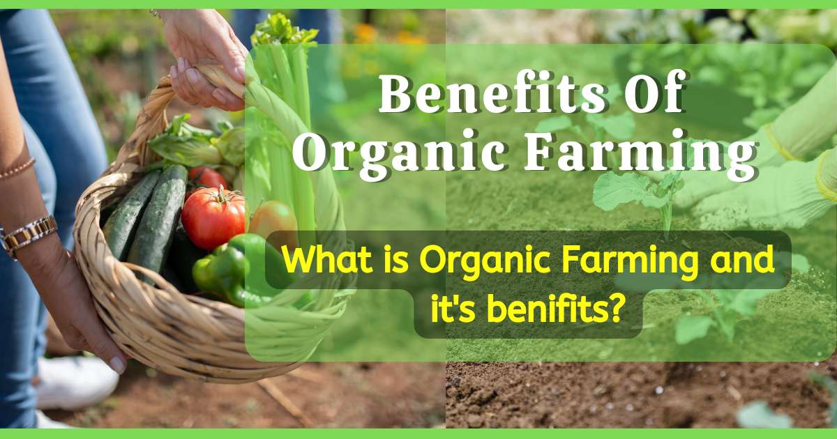 Organic farming benefits