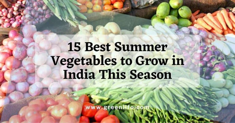 Best 15 vegetables to plant in summer in india