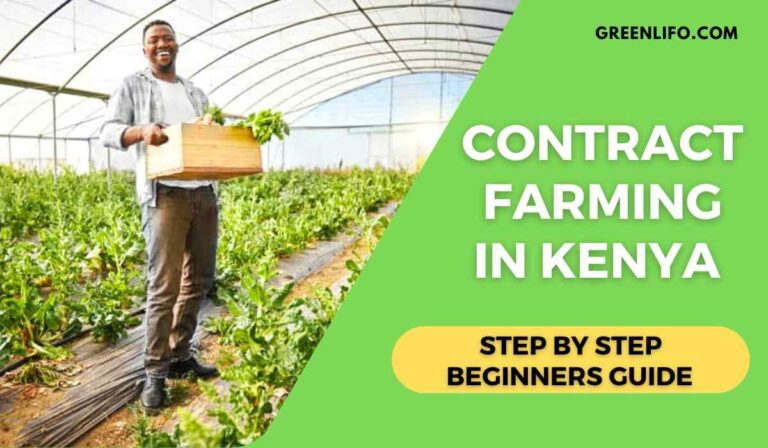 contract farming in Kenya